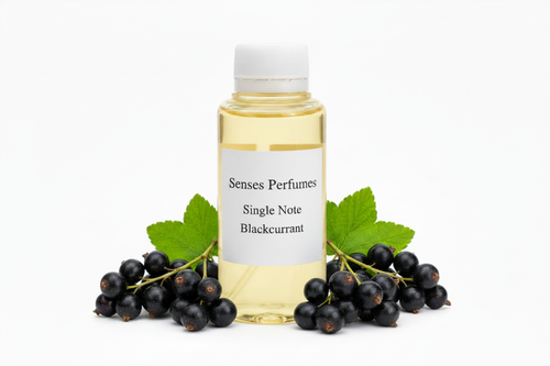Senses Perfumes Single Note Blackcurrant - Light Yellow Oil